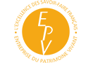 Logo EPV jaune